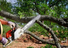 Lawn Renovation and Restoration in Gardnertown, NY